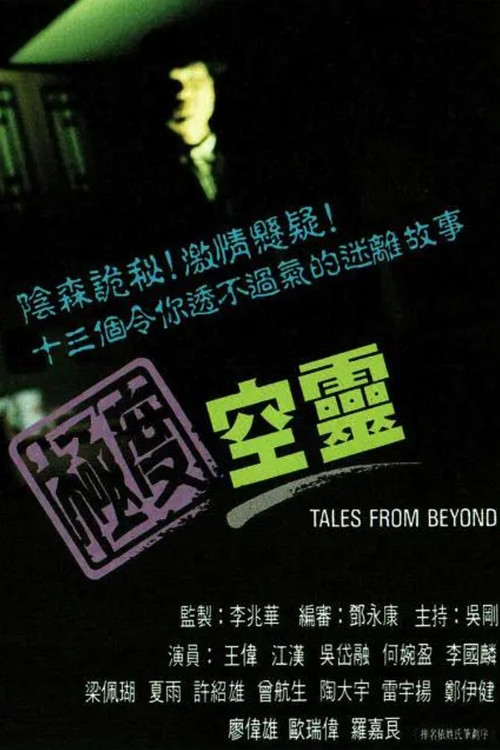 极度空灵(1992)海报