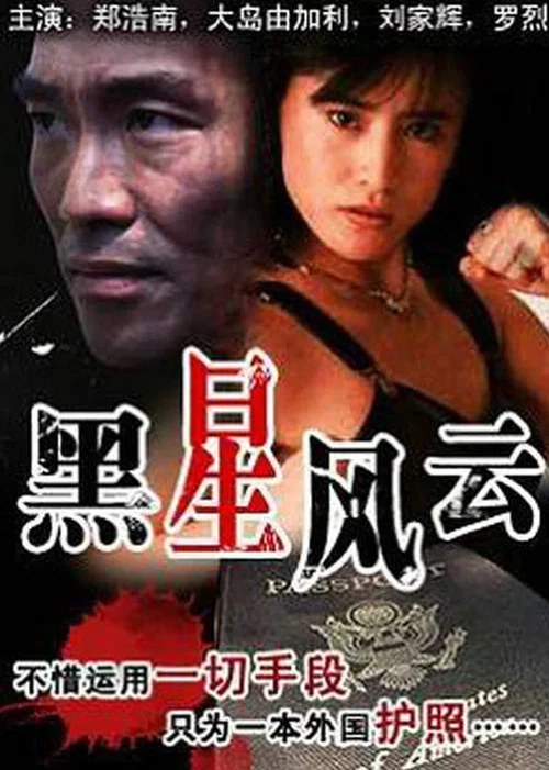 黑星风云(1992)海报