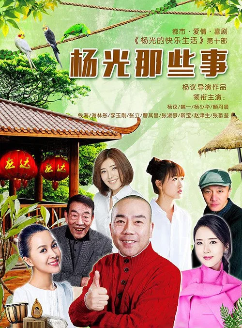 杨光那些事(2016)海报