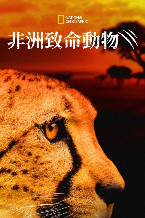 非洲致命动物第三季剧照3