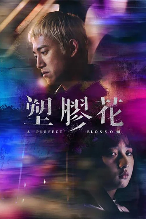 塑胶花剧照3