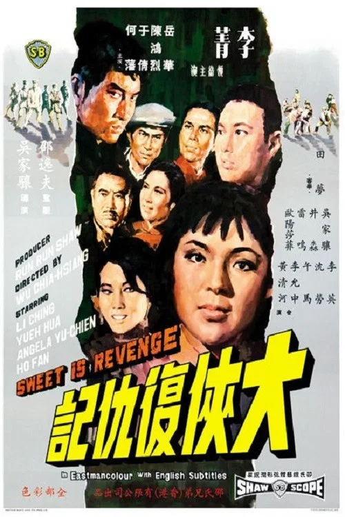 大侠复仇记(1967)海报
