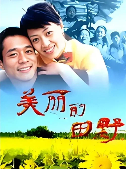 美丽的田野(2005)海报