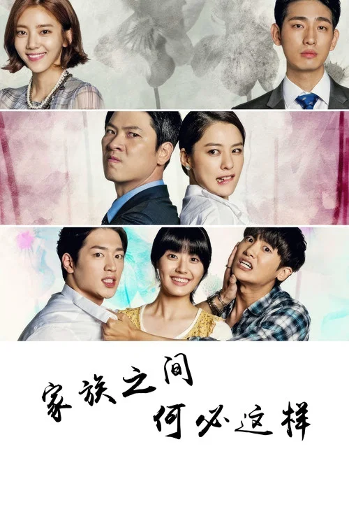 家族之间何必这样(2014)海报