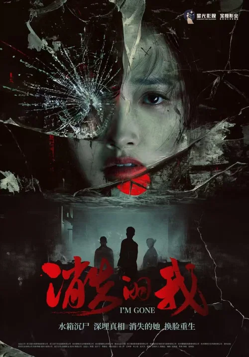 消失的我(2026)海报
