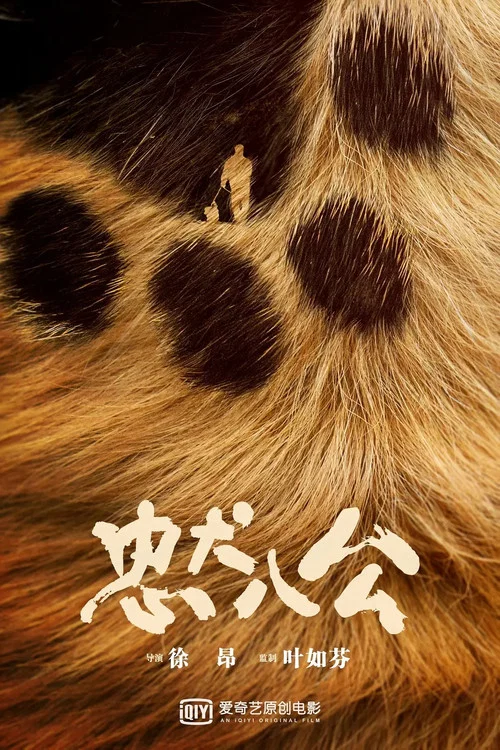 忠犬八公剧照5