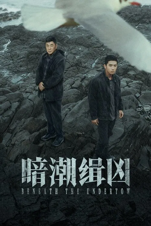 暗潮缉凶(2025)海报