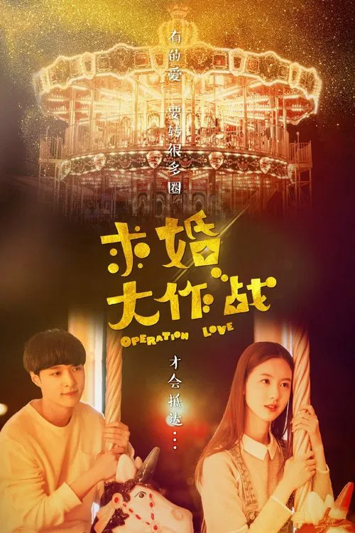 求婚大作战(2017)海报