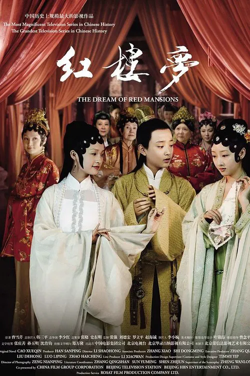 红楼梦(2010)海报