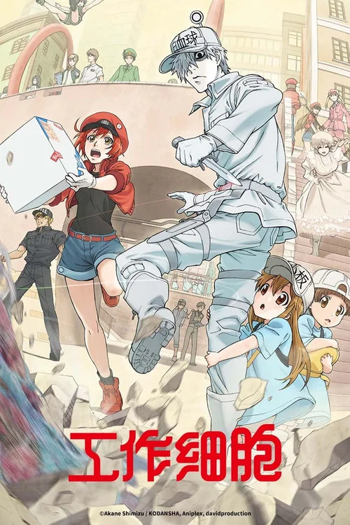 工作细胞第一季(普通话版)(2018)海报