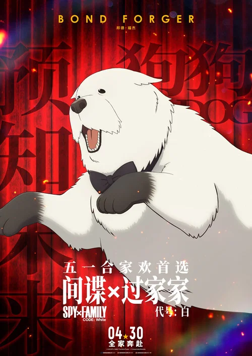间谍过家家代号:白剧照14