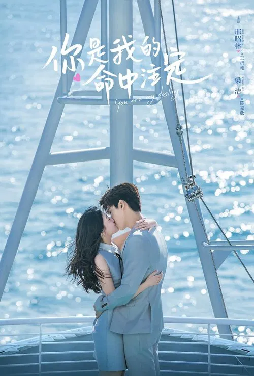 你是我的命(2020)海报