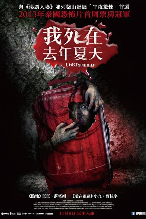 死在那年夏天(2013)海报