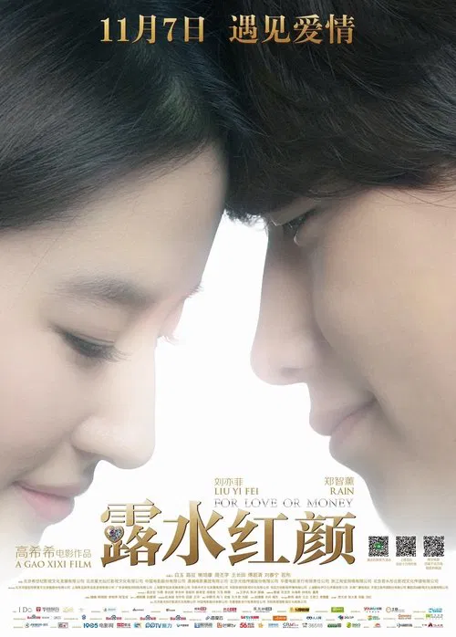 露水红颜(2014)海报