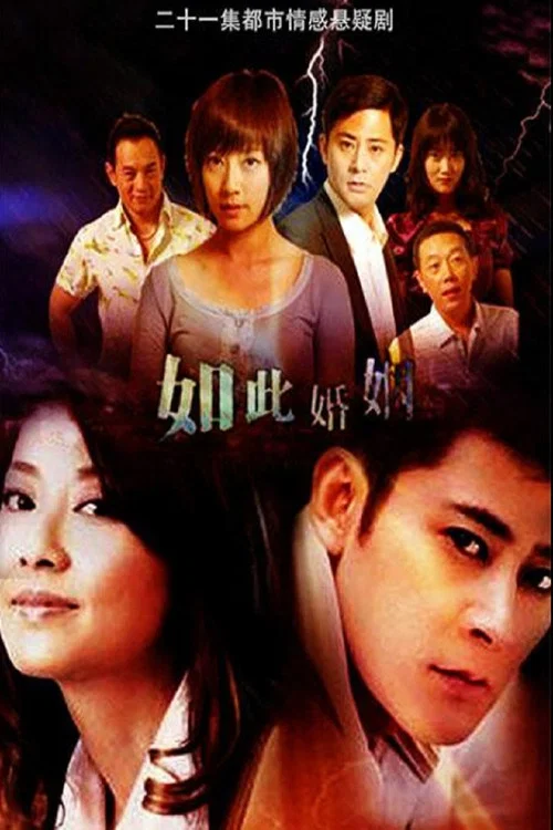 如此婚姻(2010)海报