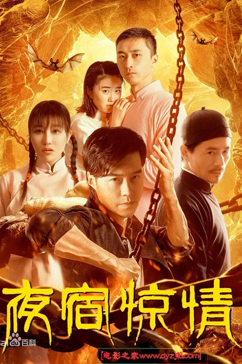 夜宿惊情(2020)海报