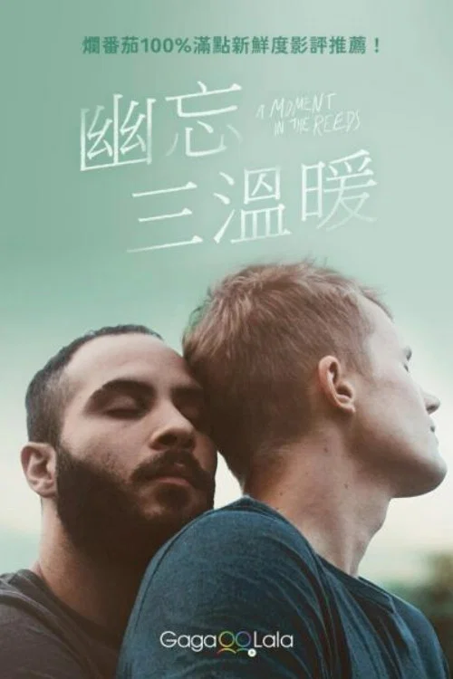 芦苇荡的时光(2018)海报