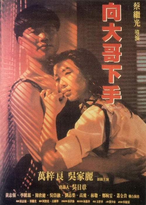 铁汉柔情(1990)海报