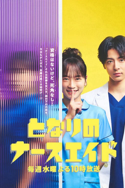 隔壁的护士助理(2024)海报