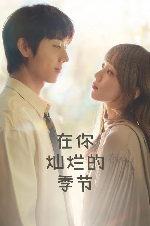 在你灿烂的季节(2026)海报