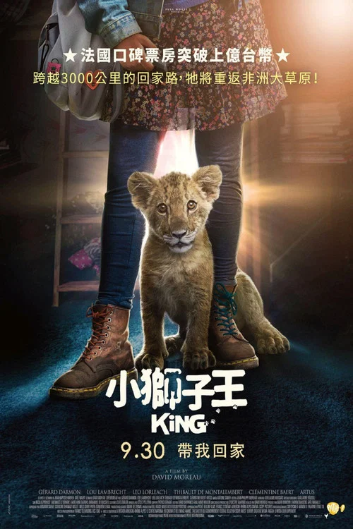 我的小狮王(2022)海报