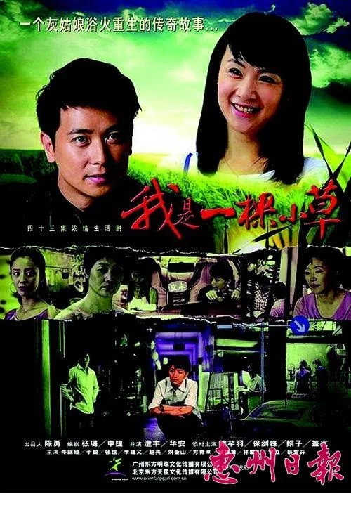 我是一棵小草剧照2