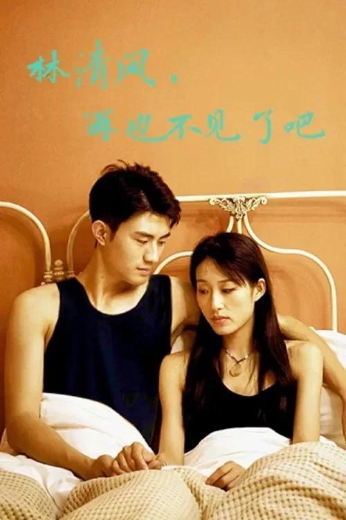 林清风,再也不见了吧(2022)海报