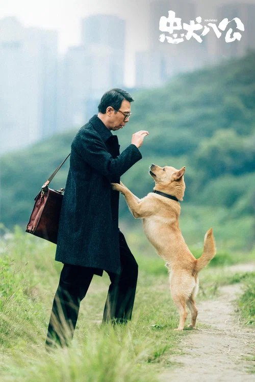 忠犬八公剧照11