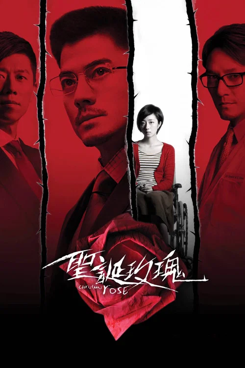圣诞玫瑰(2013)海报