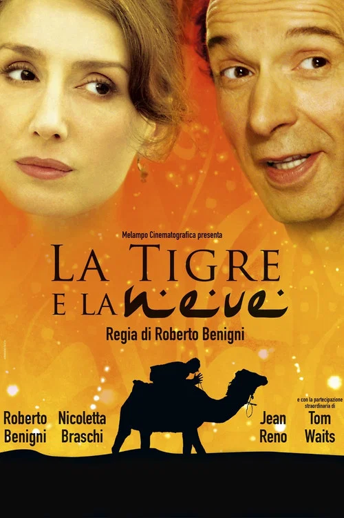 爱你如诗美丽(2005)海报
