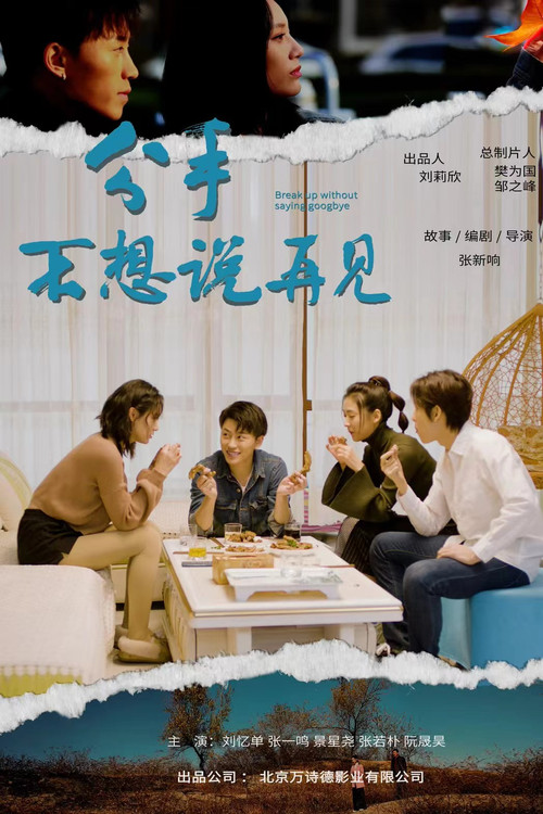 分手不想说再见(2024)海报
