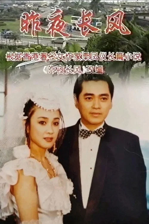 昨夜长风(1995)海报