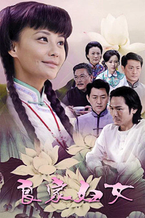 良家妇女(2010)海报