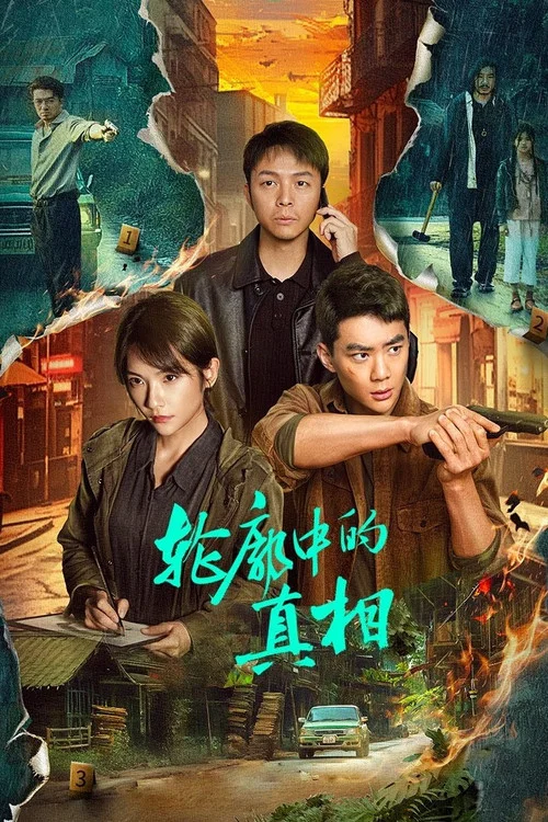 轮廓中的真相剧照2