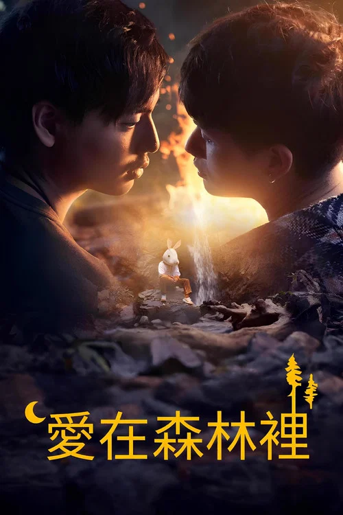 林中爱季(2025)海报