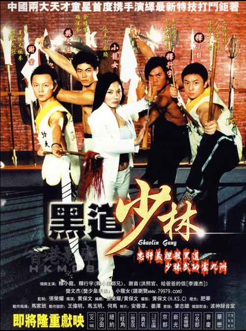 黑道少林(2004)海报