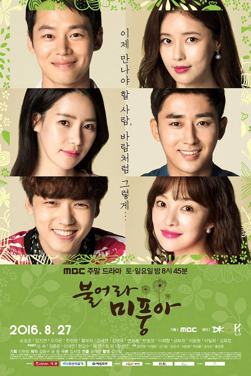 吹吧,微风啊(2016)海报