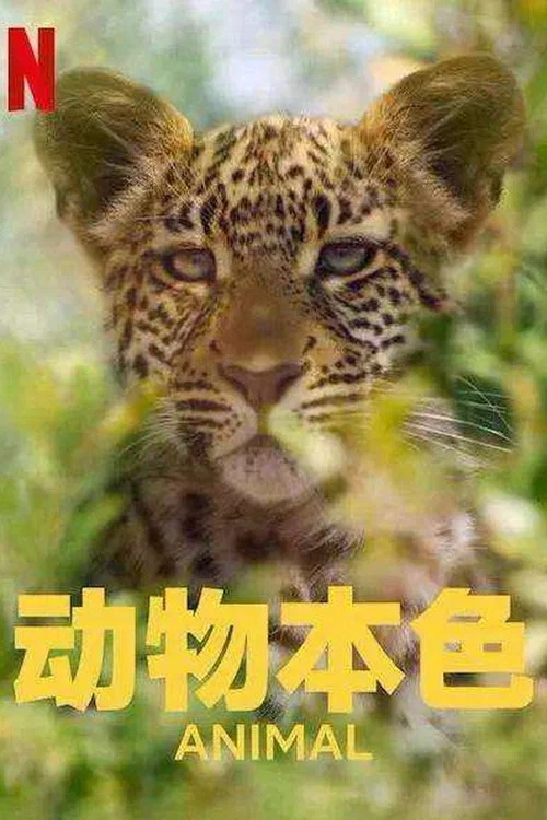 动物本色第一季剧照2