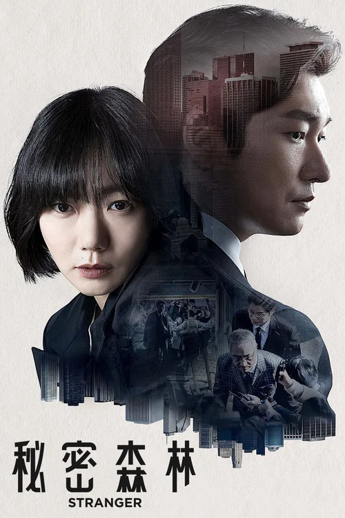 秘密森林(2017)海报
