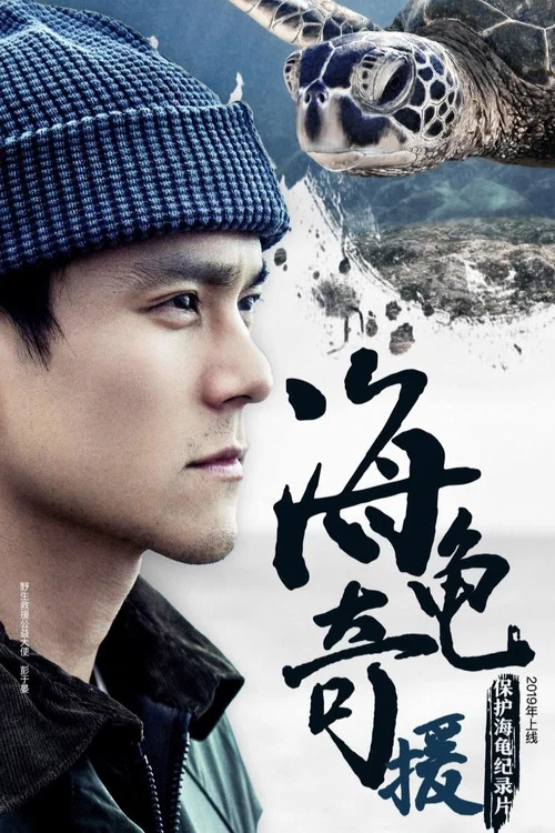 海龟奇援(2019)海报