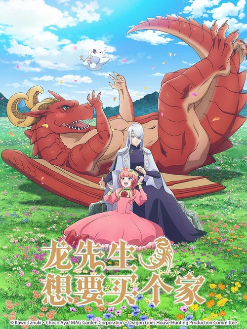 龙先生，想要买个家。(2021)海报