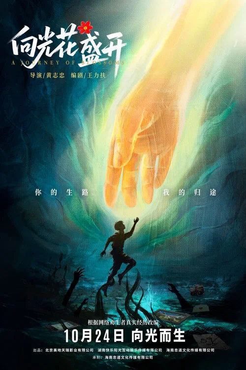 向光花盛开(2025)海报