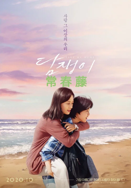 常春藤(2020)海报