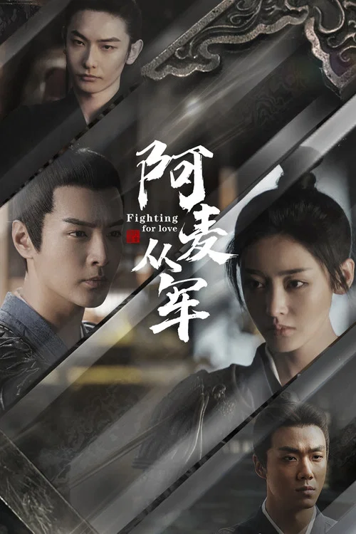 阿麦从军(2024)海报