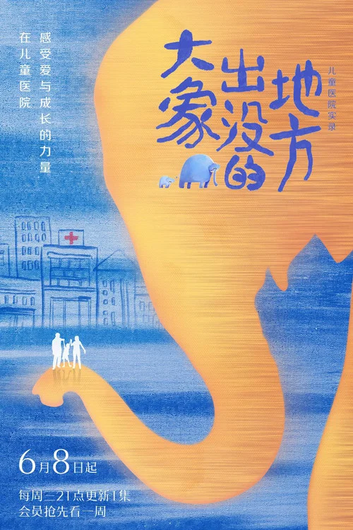 大象出没的地方(2022)海报