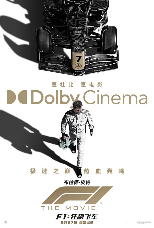 F1:狂飙飞车剧照9
