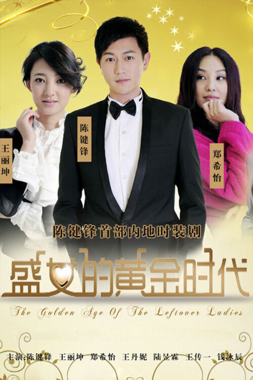盛女的黄金时代(2011)海报