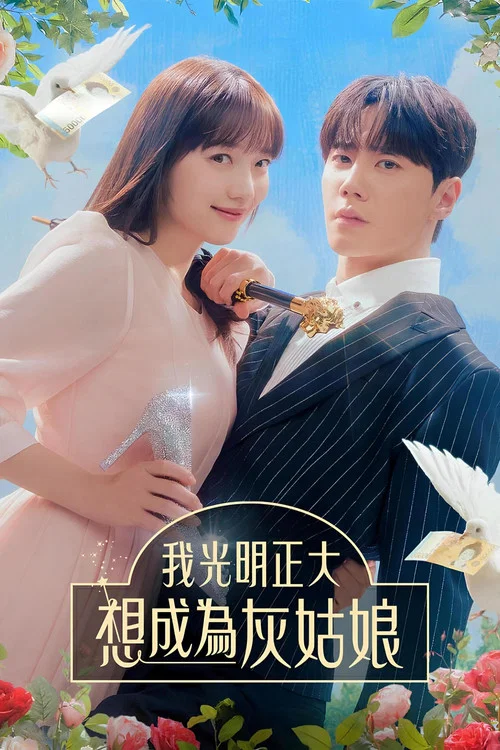 我公然梦想成为灰姑娘(2024)海报