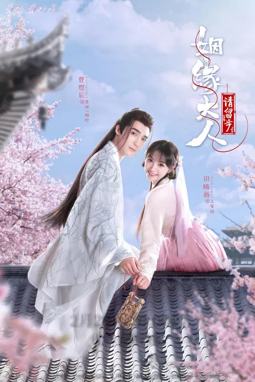 姻缘大人请留步(2022)海报