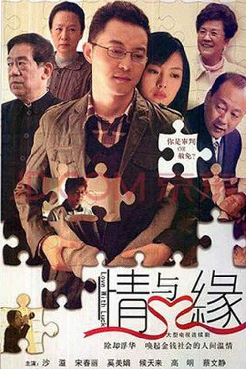 情与缘(2013)海报